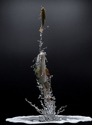 Snake, Schlange, Toad, Kröte, Cornel, Schneider, Boxwood, Buchsbaum, jpeg, jpg, scuplture, Schnitzerei, Carving, okimono