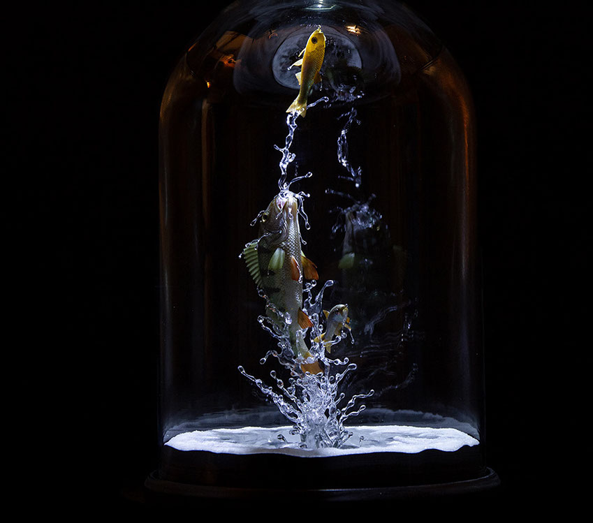 toad on lotusleaf, Kröte, Cornel, Schneider, Boxwood, Buchsbaum, Acrylglas, Ivory, jpeg, jpg, scuplture, Schnitzerei, Carving, okimono