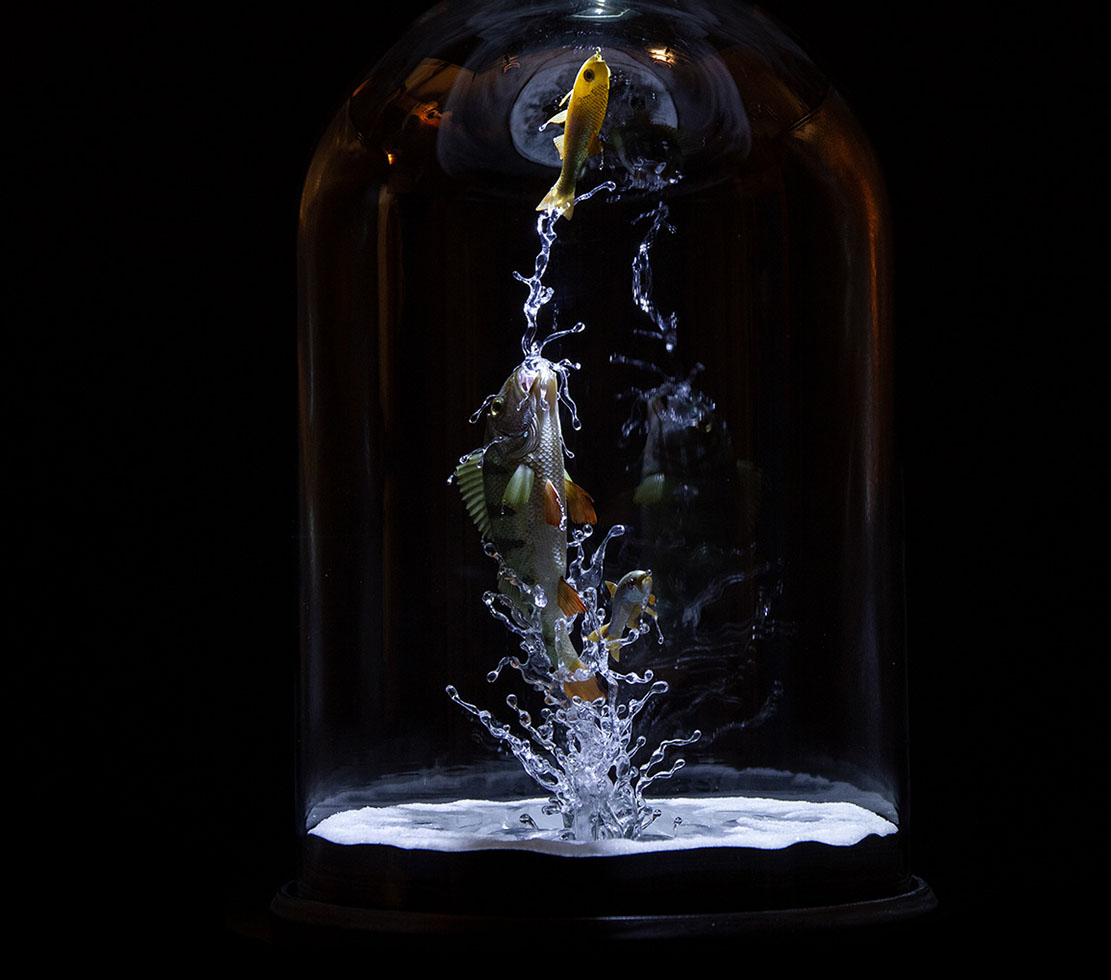 Snake, Schlange, Toad, Kröte, Cornel, Schneider, Boxwood, Buchsbaum, jpeg, jpg, scuplture, Schnitzerei, Carving, okimono