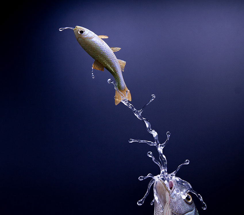 viper around branch, Cornel, Schneider, Boxwood, Buchsbaum,  jpeg, jpg, scuplture, Schnitzerei, Carving, okimono