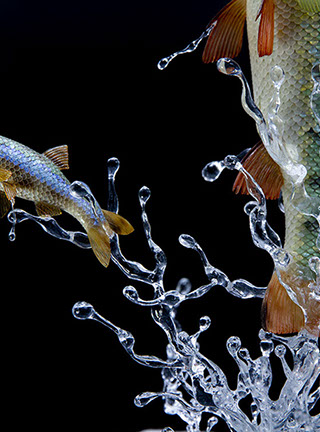 Snake, Schlange, Toad, Kröte, Cornel, Schneider, Boxwood, Buchsbaum, jpeg, jpg, scuplture, Schnitzerei, Carving, okimono