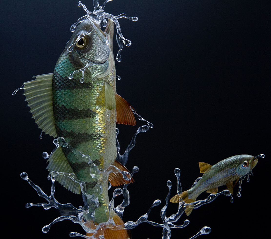 viper around branch, Cornel, Schneider, Boxwood, Buchsbaum,  jpeg, jpg, scuplture, Schnitzerei, Carving, okimono