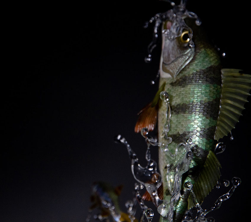 Eisvogel, Kingfisher, Watersplash, Hunting, Fish, Cornel, Schneider, Boxwood, Buchsbaum, jpeg, jpg, scuplture, Schnitzerei, Carving, okimono