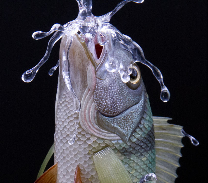 Eisvogel, Kingfisher, Watersplash, Hunting, Fish, Cornel, Schneider, Boxwood, Buchsbaum, jpeg, jpg, scuplture, Schnitzerei, Carving, okimono