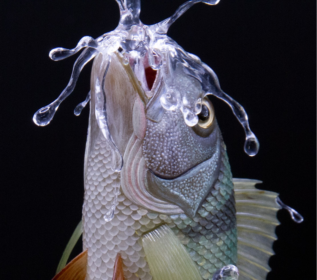 Eisvogel, Kingfisher, Watersplash, Hunting, Fish, Cornel, Schneider, Boxwood, Buchsbaum, jpeg, jpg, scuplture, Schnitzerei, Carving, okimono