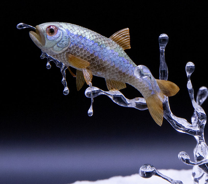 Eisvogel, Kingfisher, Watersplash, Hunting, Fish, Cornel, Schneider, Boxwood, Buchsbaum, jpeg, jpg, scuplture, Schnitzerei, Carving, okimono