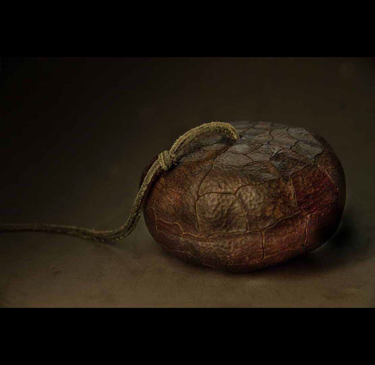 MEETING, Toad, Aspisviper, Kröte, Cornel, Schneider, Boxwood, Buchsbaum, Acrylglass, jpeg, jpg, scuplture, Schnitzerei, Carving,okimono