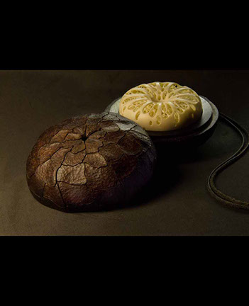 frog on snailhouse, Frosch, Schneckenhaus, Acrylglas,Cornel, Schneider, Boxwood, Buchsbaum,  jpeg, jpg, scuplture, Schnitzerei, Carving, netsuke