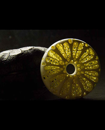 frog on snailhouse, Frosch, Schneckenhaus, Acrylglas,Cornel, Schneider, Boxwood, Buchsbaum,  jpeg, jpg, scuplture, Schnitzerei, Carving, netsuke