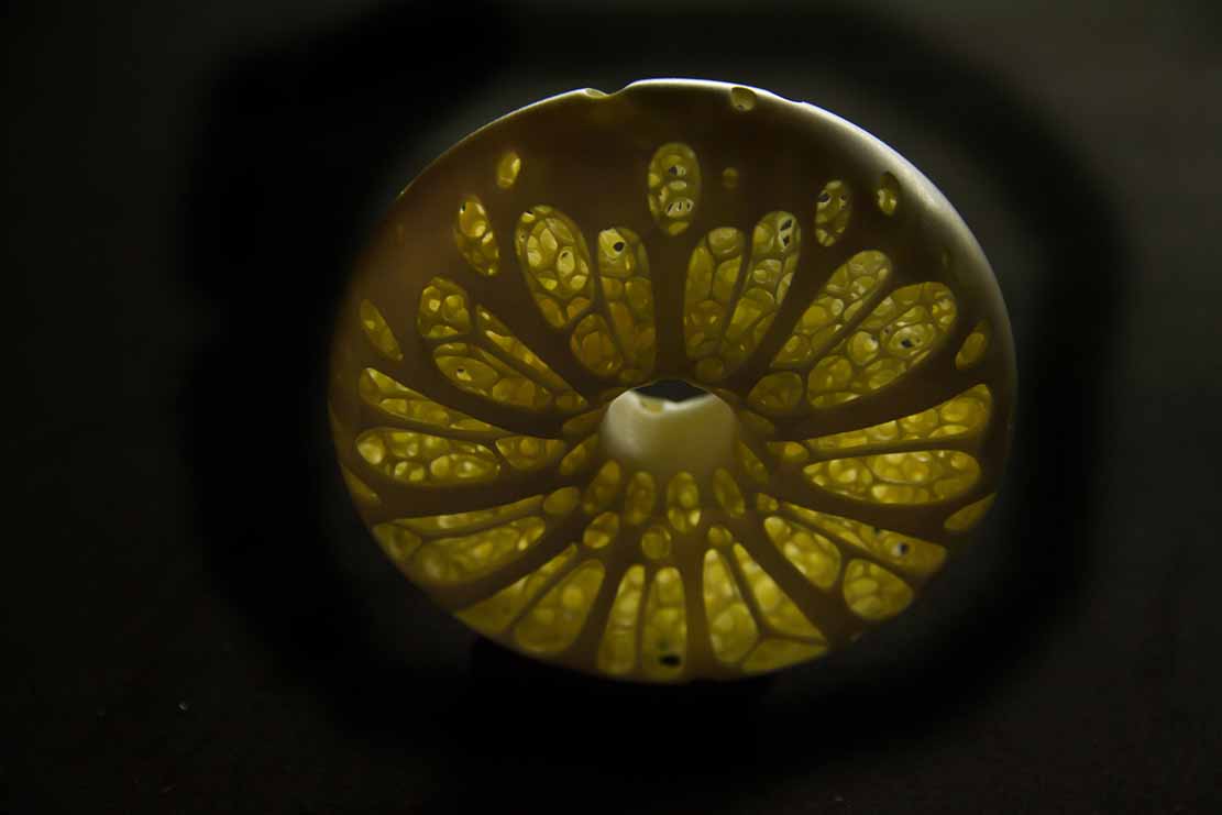 treefrog, Baumfrosch,Cornel, Schneider, Boxwood, Buchsbaum,  jpeg, jpg, scuplture, Schnitzerei, Carving, netsuke, okimono