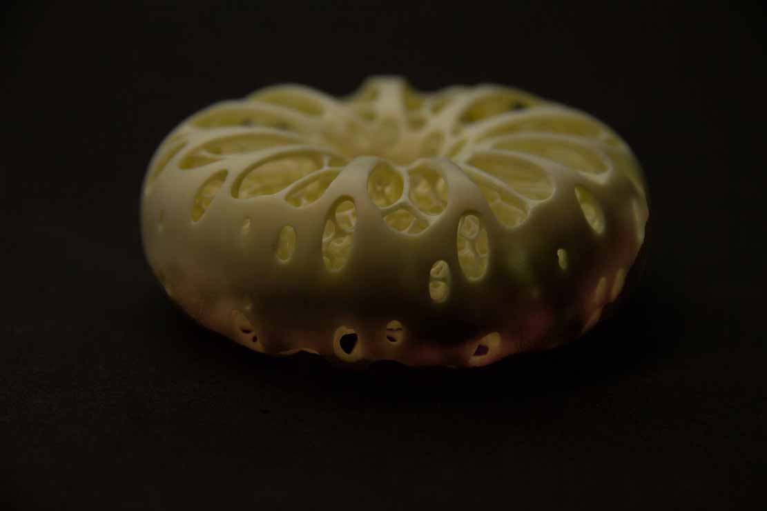 treefrog, Baumfrosch,Cornel, Schneider, Boxwood, Buchsbaum,  jpeg, jpg, scuplture, Schnitzerei, Carving, netsuke, okimono