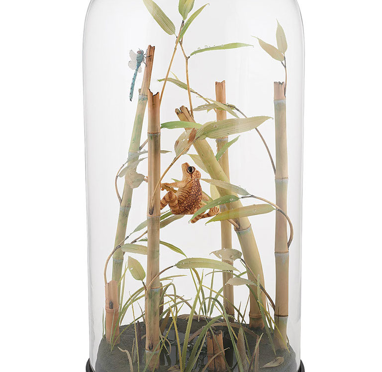 toad on lotusleaf, Kröte, Cornel, Schneider, Boxwood, Buchsbaum, Acrylglas, Ivory, jpeg, jpg, scuplture, Schnitzerei, Carving, okimono