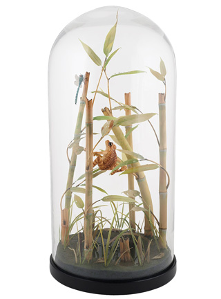 Snake, Schlange, Toad, Kröte, Cornel, Schneider, Boxwood, Buchsbaum, jpeg, jpg, scuplture, Schnitzerei, Carving, okimono