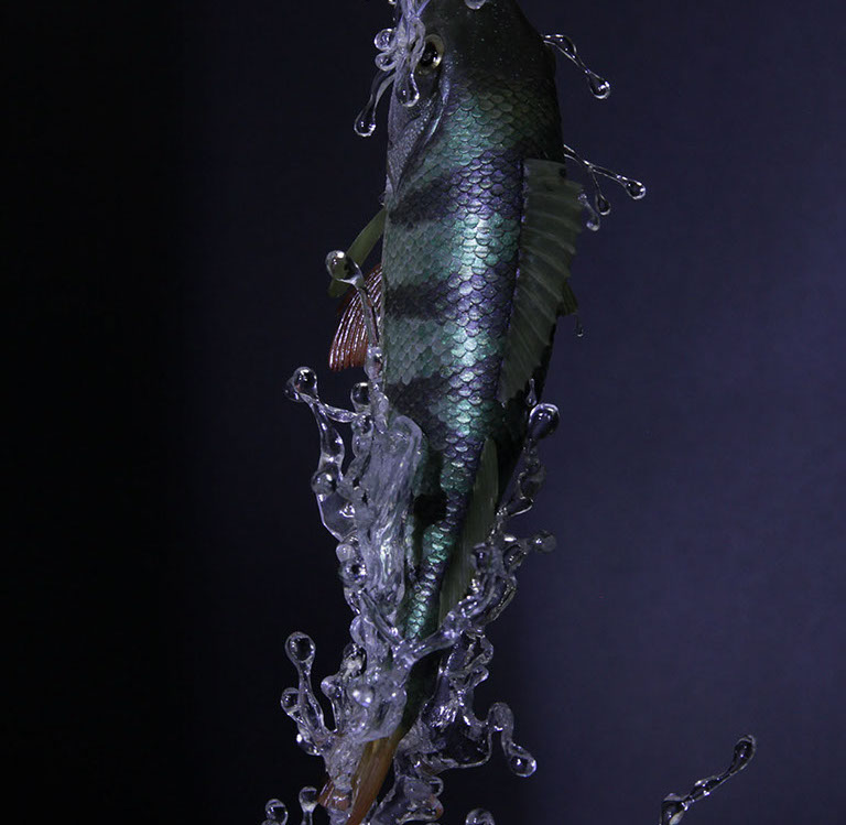 Eisvogel, Kingfisher, Watersplash, Hunting, Fish, Cornel, Schneider, Boxwood, Buchsbaum, jpeg, jpg, scuplture, Schnitzerei, Carving, okimono