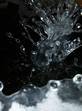 Snake, Schlange, Toad, Kröte, Cornel, Schneider, Boxwood, Buchsbaum, jpeg, jpg, scuplture, Schnitzerei, Carving, okimono