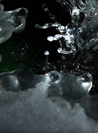 Snake, Schlange, Toad, Kröte, Cornel, Schneider, Boxwood, Buchsbaum, jpeg, jpg, scuplture, Schnitzerei, Carving, okimono