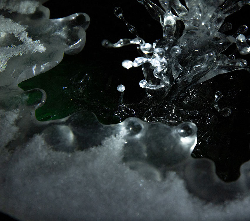 Eisvogel, Kingfisher, Watersplash, Hunting, Fish, Cornel, Schneider, Boxwood, Buchsbaum, jpeg, jpg, scuplture, Schnitzerei, Carving, okimono