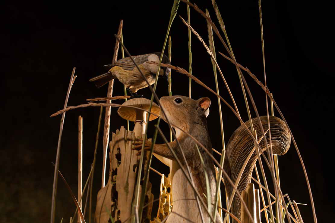 Snake, Schlange, Toad, Kröte, Cornel, Schneider, Boxwood, Buchsbaum, jpeg, jpg, scuplture, Schnitzerei, Carving, okimono