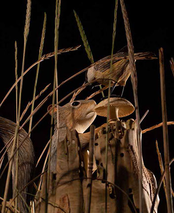 toad on lotusleaf, Kröte, Cornel, Schneider, Boxwood, Buchsbaum, Acrylglas, Ivory, jpeg, jpg, scuplture, Schnitzerei, Carving, okimono