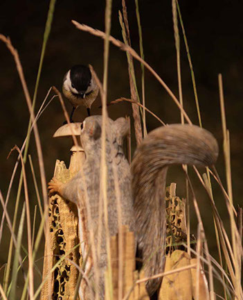 toad on lotusleaf, Kröte, Cornel, Schneider, Boxwood, Buchsbaum, Acrylglas, Ivory, jpeg, jpg, scuplture, Schnitzerei, Carving, okimono