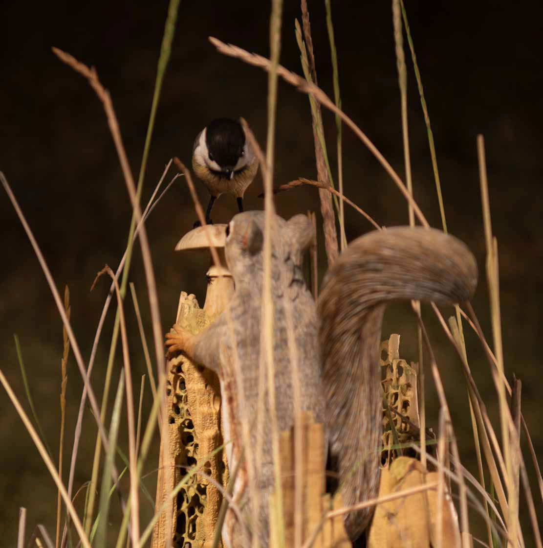 Snake, Schlange, Toad, Kröte, Cornel, Schneider, Boxwood, Buchsbaum, jpeg, jpg, scuplture, Schnitzerei, Carving, okimono