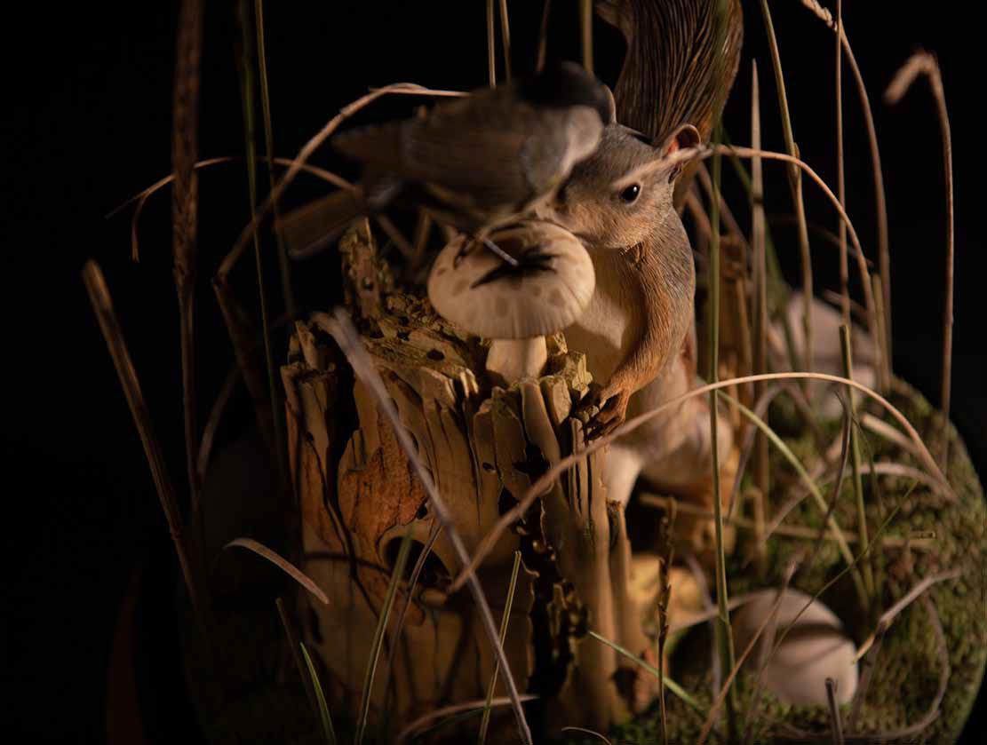 Snake, Schlange, Toad, Kröte, Cornel, Schneider, Boxwood, Buchsbaum, jpeg, jpg, scuplture, Schnitzerei, Carving, okimono