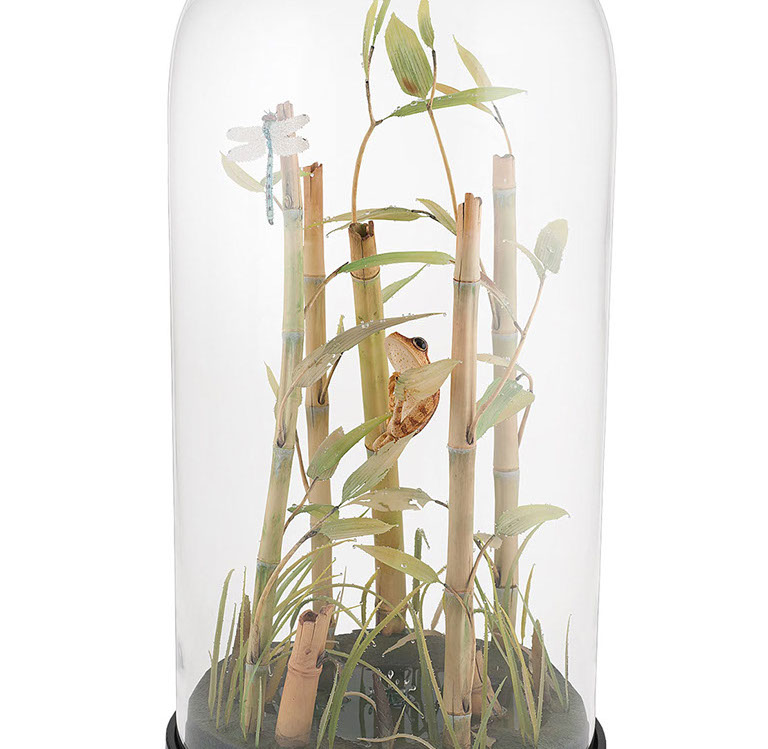 toad on lotusleaf, Kröte, Cornel, Schneider, Boxwood, Buchsbaum, Acrylglas, Ivory, jpeg, jpg, scuplture, Schnitzerei, Carving, okimono