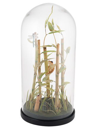 Snake, Schlange, Toad, Kröte, Cornel, Schneider, Boxwood, Buchsbaum, jpeg, jpg, scuplture, Schnitzerei, Carving, okimono