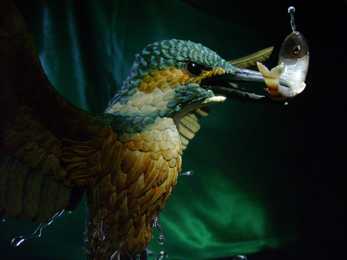 Eisvogel, Kingfisher, Watersplash, Hunting, Fish, Cornel, Schneider, Boxwood, Buchsbaum, jpeg, jpg, scuplture, Schnitzerei, Carving, okimono
