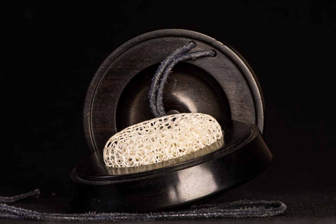 LIZARD ON SNAILHOUSE, Eidechse, Schneckenhaus, Cornel, Schneider, Boxwood, Buchsbaum,  jpeg, jpg, scuplture, Schnitzerei, Carving, okimono