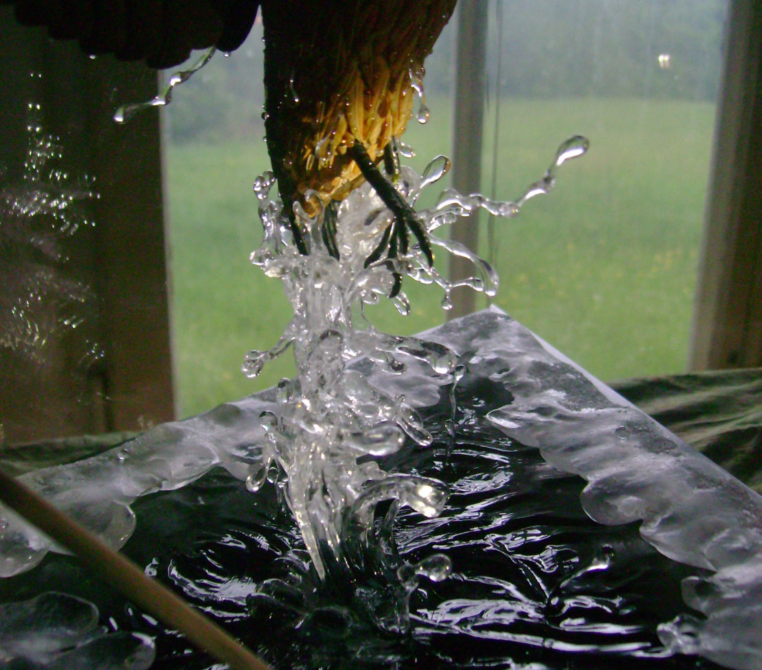 Eisvogel, Kingfisher, Watersplash, Hunting, Fish, Cornel, Schneider, Boxwood, Buchsbaum, jpeg, jpg, scuplture, Schnitzerei, Carving, okimono