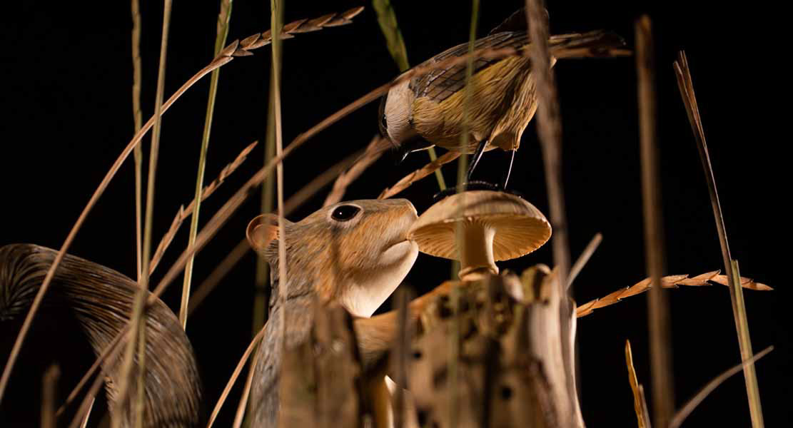 Snake, Schlange, Toad, Kröte, Cornel, Schneider, Boxwood, Buchsbaum, jpeg, jpg, scuplture, Schnitzerei, Carving, okimono