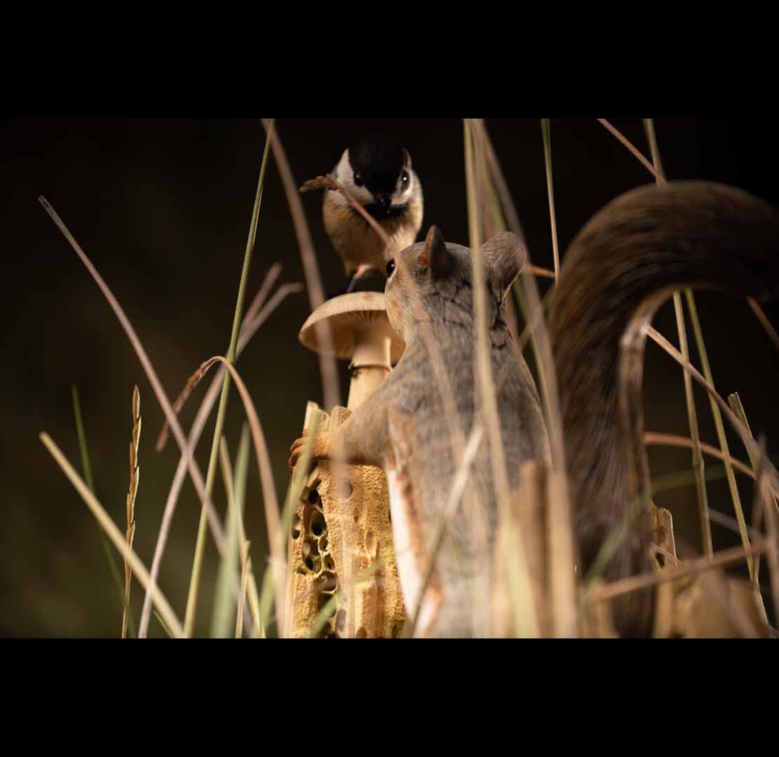 WHALE HUNT,Walfang, DIORAMA, Cornel, Schneider, Boxwood, limewood, jpeg, jpg, scuplture, Schnitzerei, Carving, Deutsches Technikmuseum Berlin