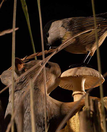 viper around branch, Cornel, Schneider, Boxwood, Buchsbaum,  jpeg, jpg, scuplture, Schnitzerei, Carving, okimono