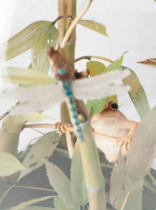 Snake, Schlange, Toad, Kröte, Cornel, Schneider, Boxwood, Buchsbaum, jpeg, jpg, scuplture, Schnitzerei, Carving, okimono