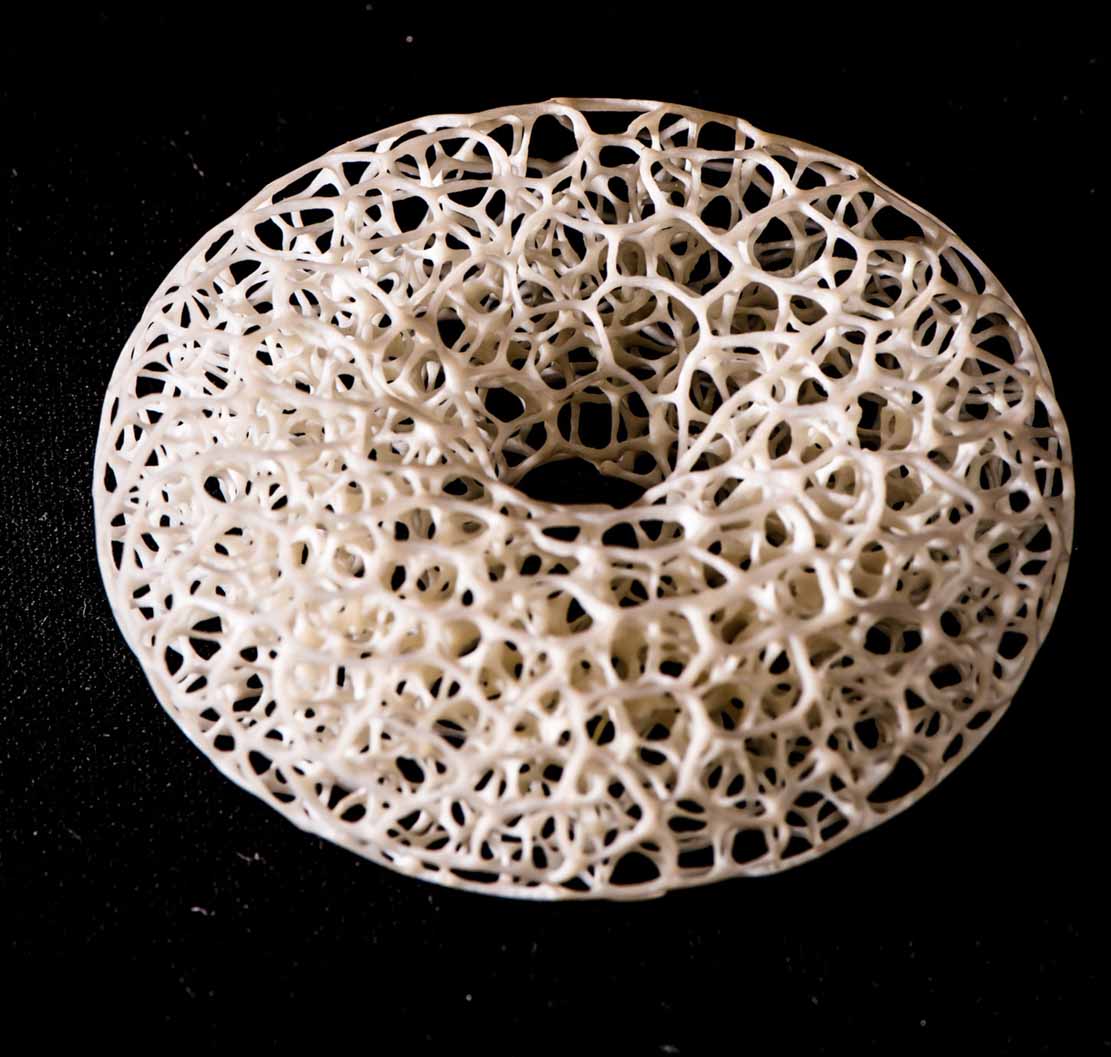 Dragonfly, libelle, Cornel, Schneider, Mammoth ivory, Mammut Elfenbein, Buffalo horn, jpeg, jpg, scuplture, Schnitzerei, Carving, objet d'art