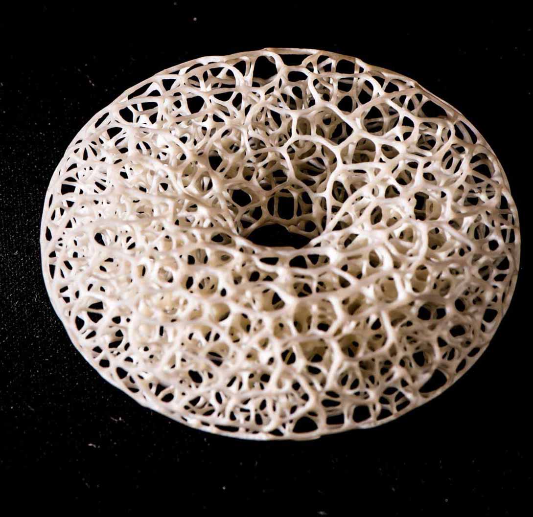 Dragonfly, libelle, Cornel, Schneider, Mammoth ivory, Mammut Elfenbein, Buffalo horn, jpeg, jpg, scuplture, Schnitzerei, Carving, objet d'art