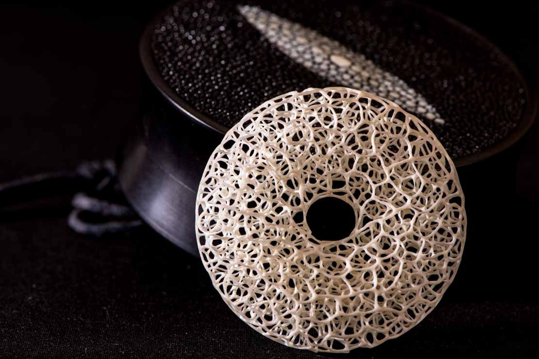 Dragonfly, libelle, Cornel, Schneider, Mammoth ivory, Mammut Elfenbein, Buffalo horn, jpeg, jpg, scuplture, Schnitzerei, Carving, objet d'art