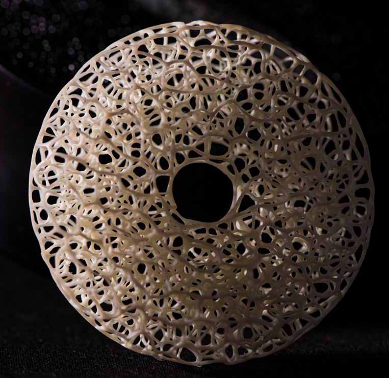 Dragonfly, libelle, Cornel, Schneider, Mammoth ivory, Mammut Elfenbein, Buffalo horn, jpeg, jpg, scuplture, Schnitzerei, Carving, objet d'art