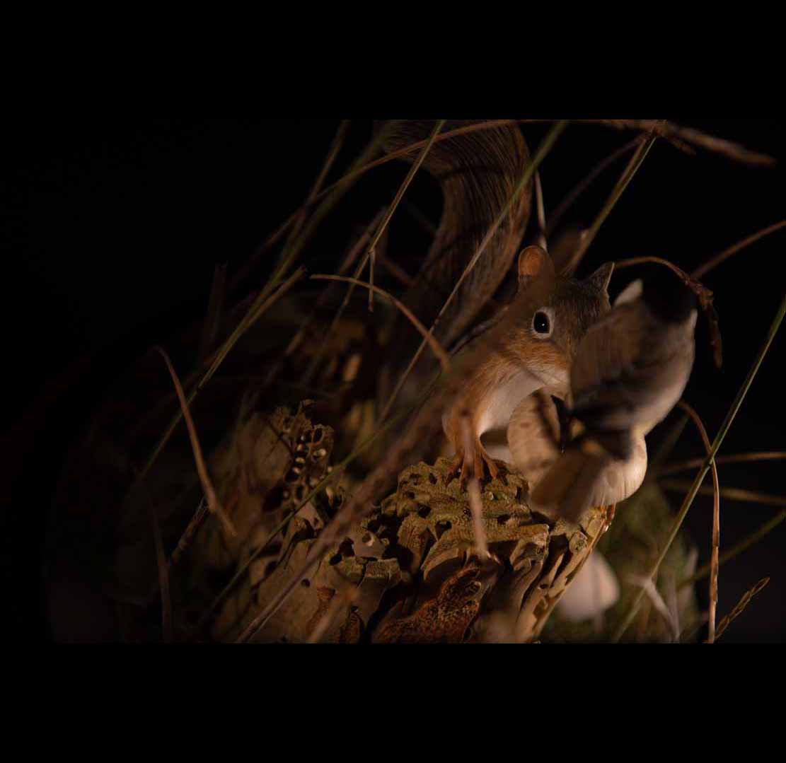 WHALE HUNT,Walfang, DIORAMA, Cornel, Schneider, Boxwood, limewood, jpeg, jpg, scuplture, Schnitzerei, Carving, Deutsches Technikmuseum Berlin