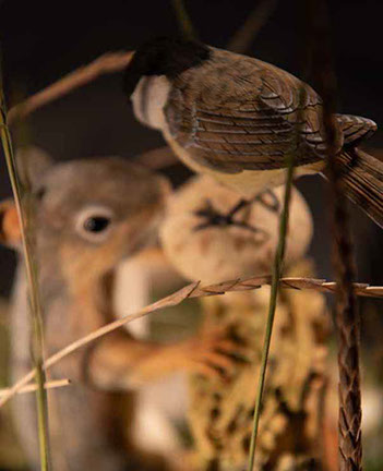Violin-embryo, Geige, Cellowirbel, Cello tuning peg, smallest violin, Cornel, Schneider, Boxwood, Buchsbaum,  jpeg, jpg, scuplture, Schnitzerei,