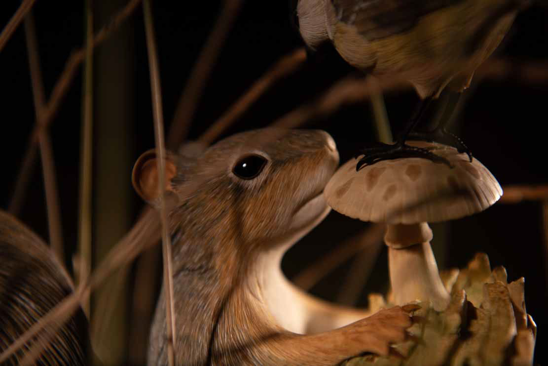 Snake, Schlange, Toad, Kröte, Cornel, Schneider, Boxwood, Buchsbaum, jpeg, jpg, scuplture, Schnitzerei, Carving, okimono