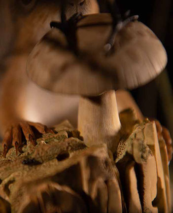 Violin-embryo, Geige, Cellowirbel, Cello tuning peg, smallest violin, Cornel, Schneider, Boxwood, Buchsbaum,  jpeg, jpg, scuplture, Schnitzerei,