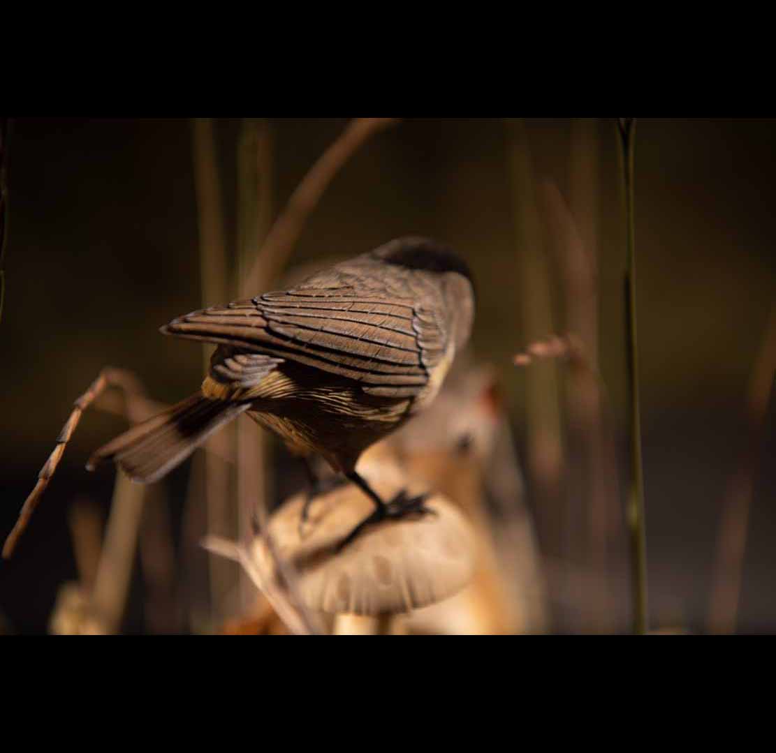 WHALE HUNT,Walfang, DIORAMA, Cornel, Schneider, Boxwood, limewood, jpeg, jpg, scuplture, Schnitzerei, Carving, Deutsches Technikmuseum Berlin