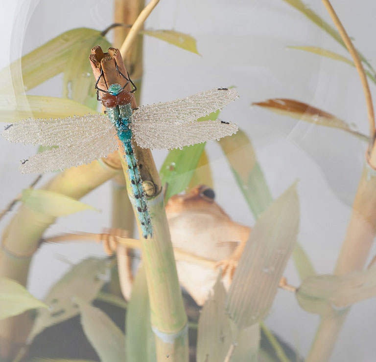 toad on lotusleaf, Kröte, Cornel, Schneider, Boxwood, Buchsbaum, Acrylglas, Ivory, jpeg, jpg, scuplture, Schnitzerei, Carving, okimono