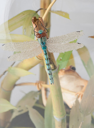 Snake, Schlange, Toad, Kröte, Cornel, Schneider, Boxwood, Buchsbaum, jpeg, jpg, scuplture, Schnitzerei, Carving, okimono