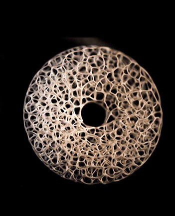 The nude, Akt, Cornel, Schneider, Boxwood, Buchsbaum,  acrylglass, ivory jpeg, jpg, scuplture, Schnitzerei, Carving, okimono