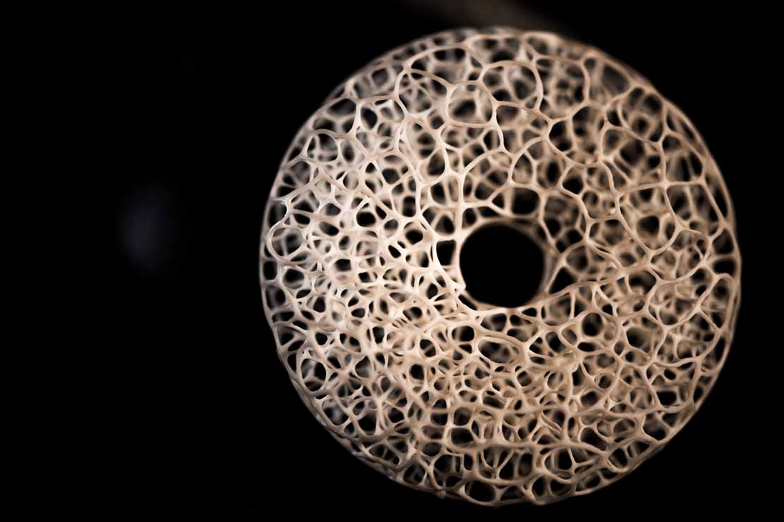 toad on lotusleaf, Kröte, Cornel, Schneider, Boxwood, Buchsbaum, Acrylglas, Ivory, jpeg, jpg, scuplture, Schnitzerei, Carving, okimono