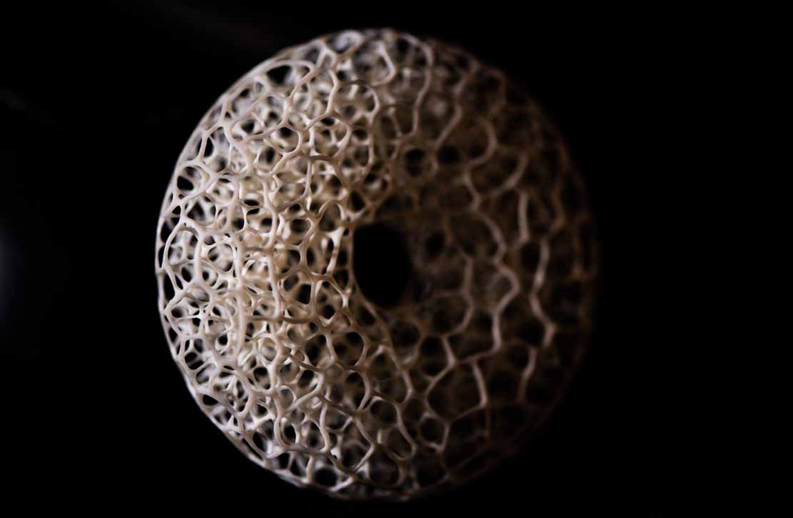 toad on lotusleaf, Kröte, Cornel, Schneider, Boxwood, Buchsbaum, Acrylglas, Ivory, jpeg, jpg, scuplture, Schnitzerei, Carving, okimono