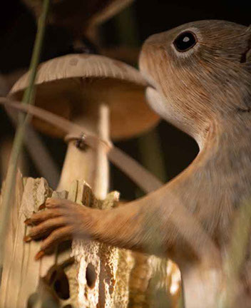 The nude, Akt, Cornel, Schneider, Boxwood, Buchsbaum,  acrylglass, ivory jpeg, jpg, scuplture, Schnitzerei, Carving, okimono